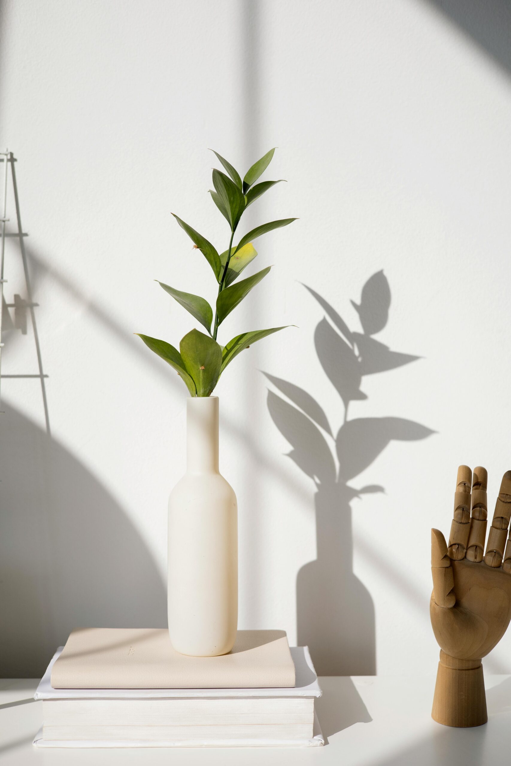 Eine Vase mit einem grünen Zweig steht auf zwei Büchern und nebendran ein Handmodell aus Holz
